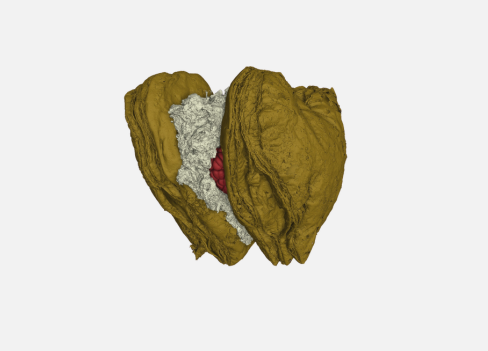 Untitled design (13)