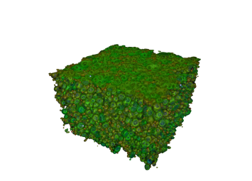 Foam Structure Analysis